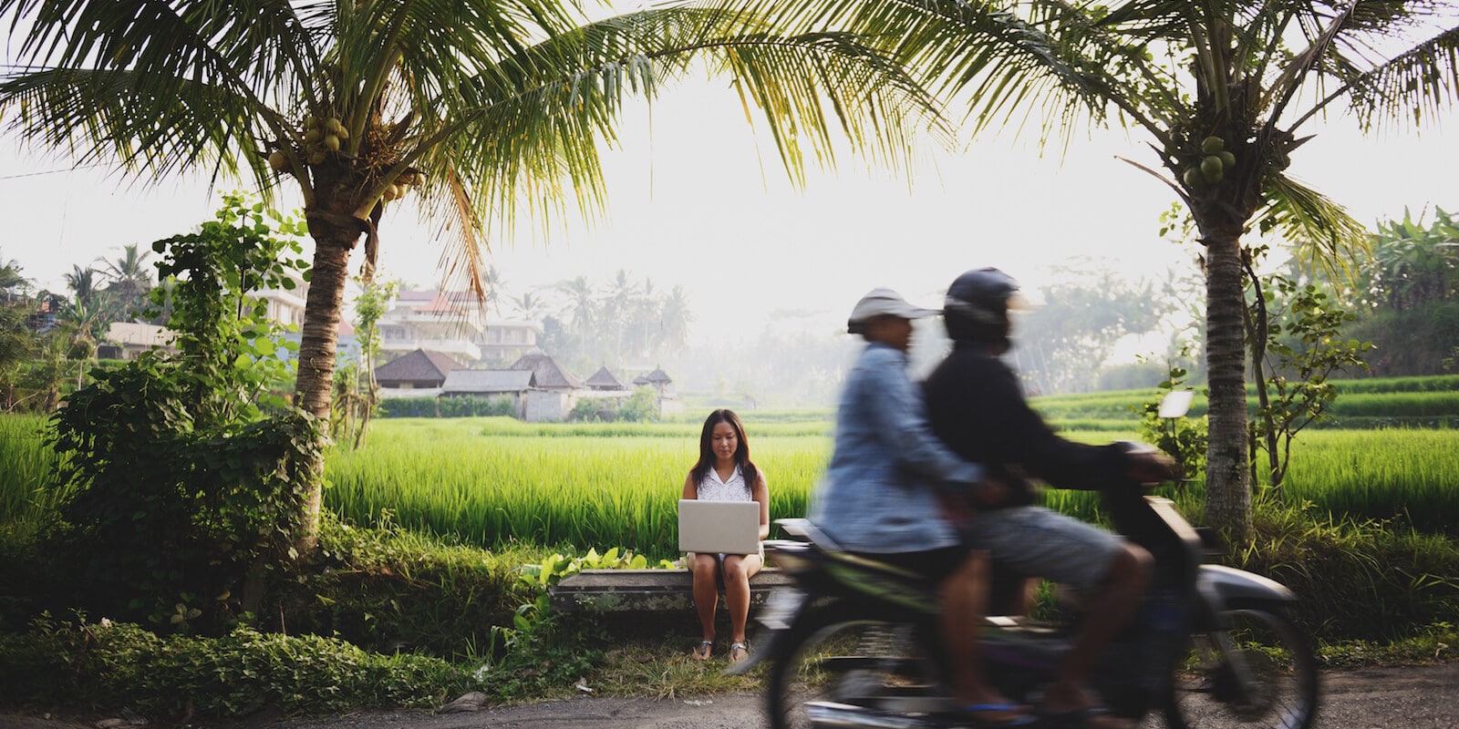 Insights de trabajo remoto de Lydia Lee de tornillo del cubículo