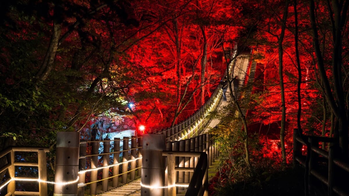 8 points touristiques pittoresques et remplis de nature à profiter à Ibaraki pendant l'hiver