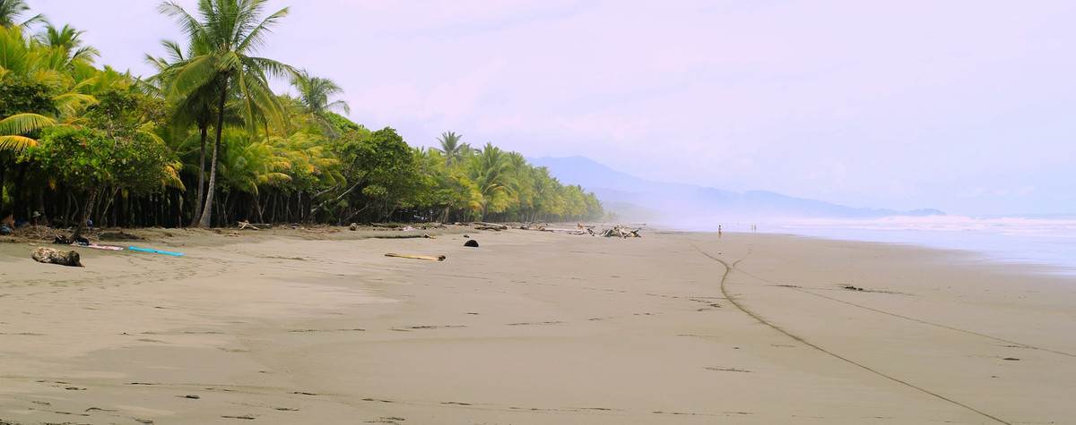 Top 10 des pays pour le budget offrant des visas nomades numériques en 2024: explorez le globe tout en économisant de l'argent