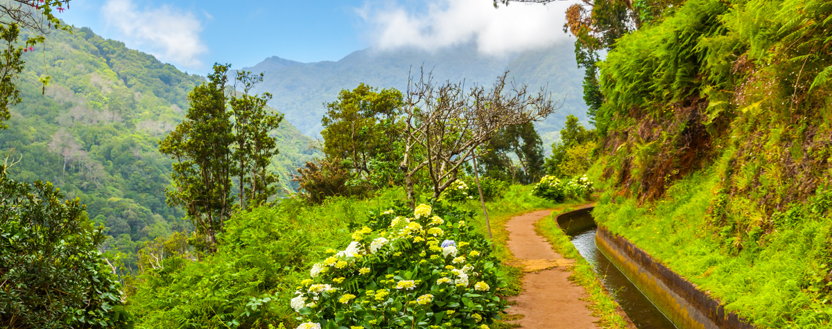 La mayoría de los destinos sostenibles en Madeira