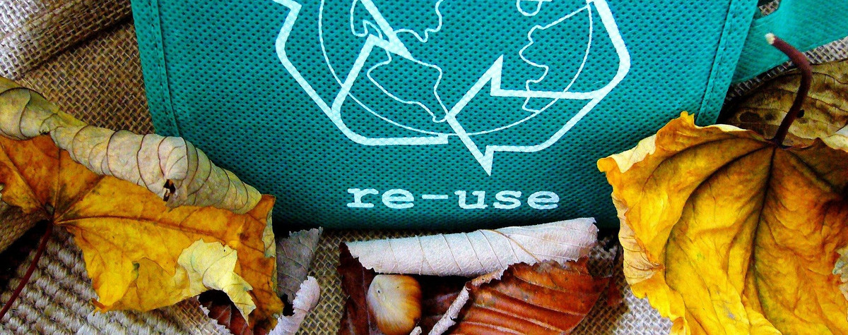 Étapes de base pour être plus durable