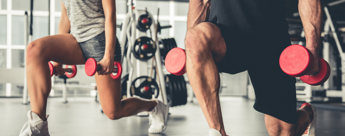 Les plus bases de gymnases de l'Algarve