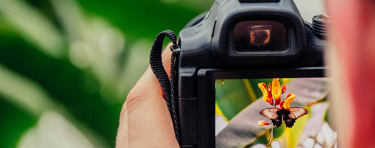 Cómo monetizar la fotografía de viajes y explorar el mundo