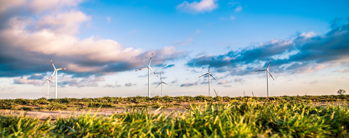 Quatre types de durabilité