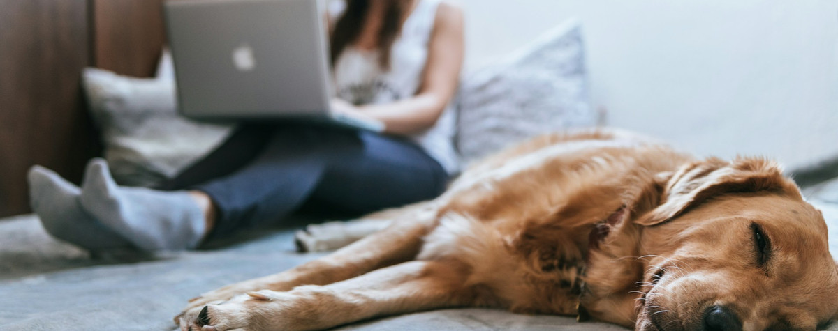 Pourquoi tu ne devrais pas mettre ton ordinateur portable sur tes genoux