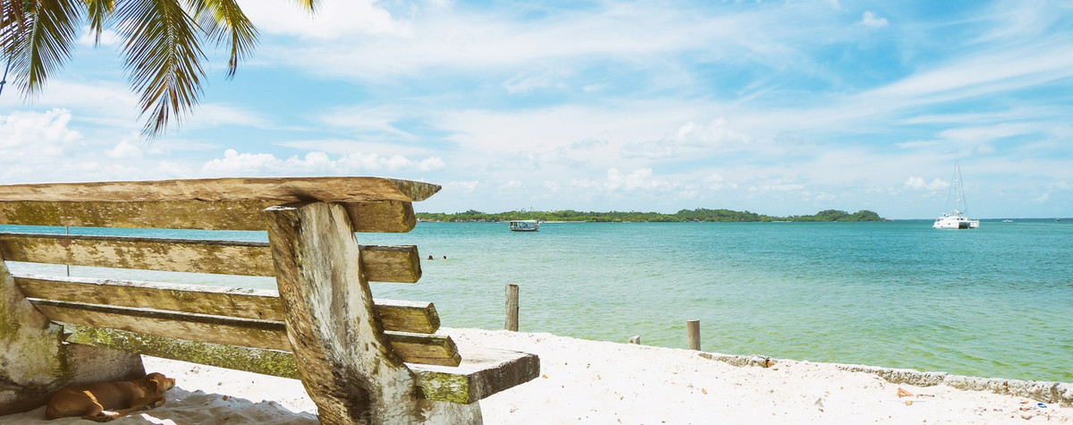 Embrasser l'été en tant que nomade numérique: améliorer votre routine quotidienne avec des conseils spécifiques à la saison