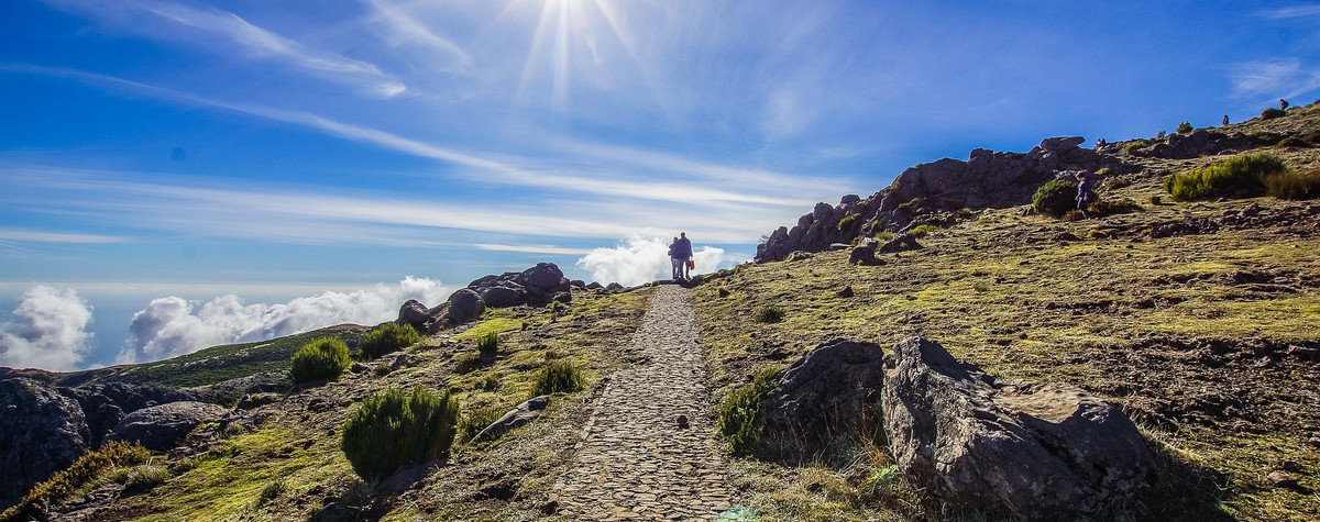 Pourquoi Madère est-il une bonne destination pour les nomades numériques et les travailleurs à distance