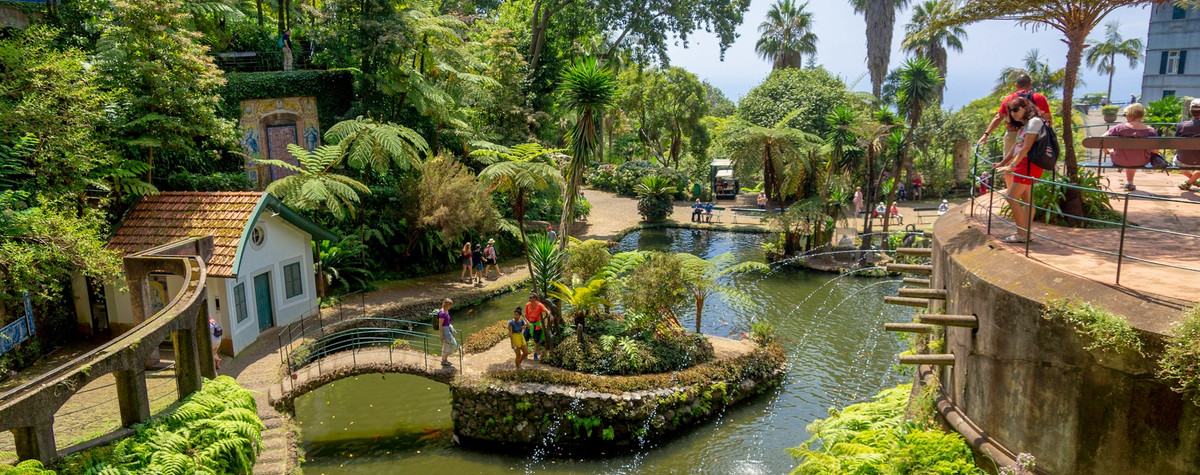 Où aller à Madère: (endroits familiaux, meilleurs endroits pour les nomades numériques, les meilleurs itinéraires de randonnée, les conseils de voyage, et plus)