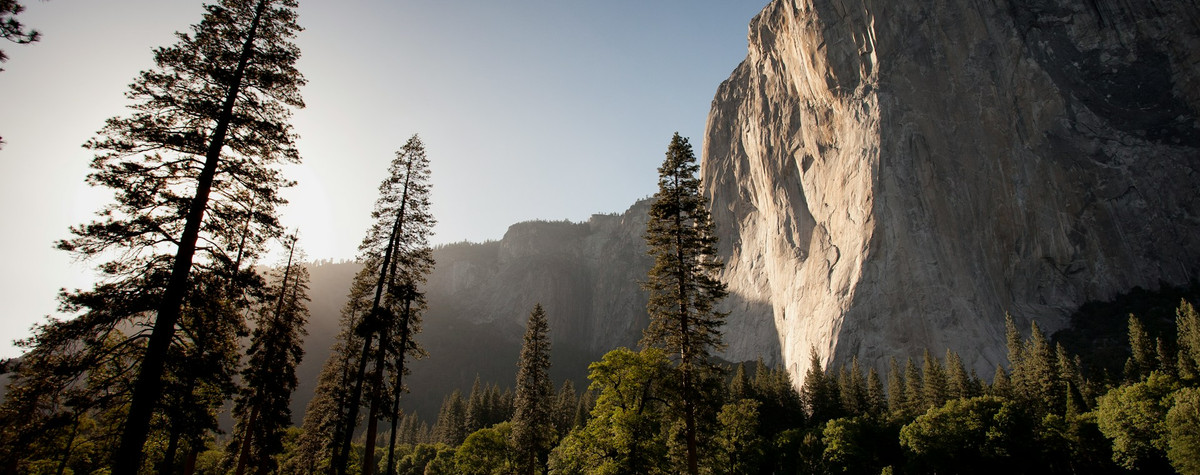 Abrace Nature: La conexión vital para los nómadas digitales encadenados a las pantallas