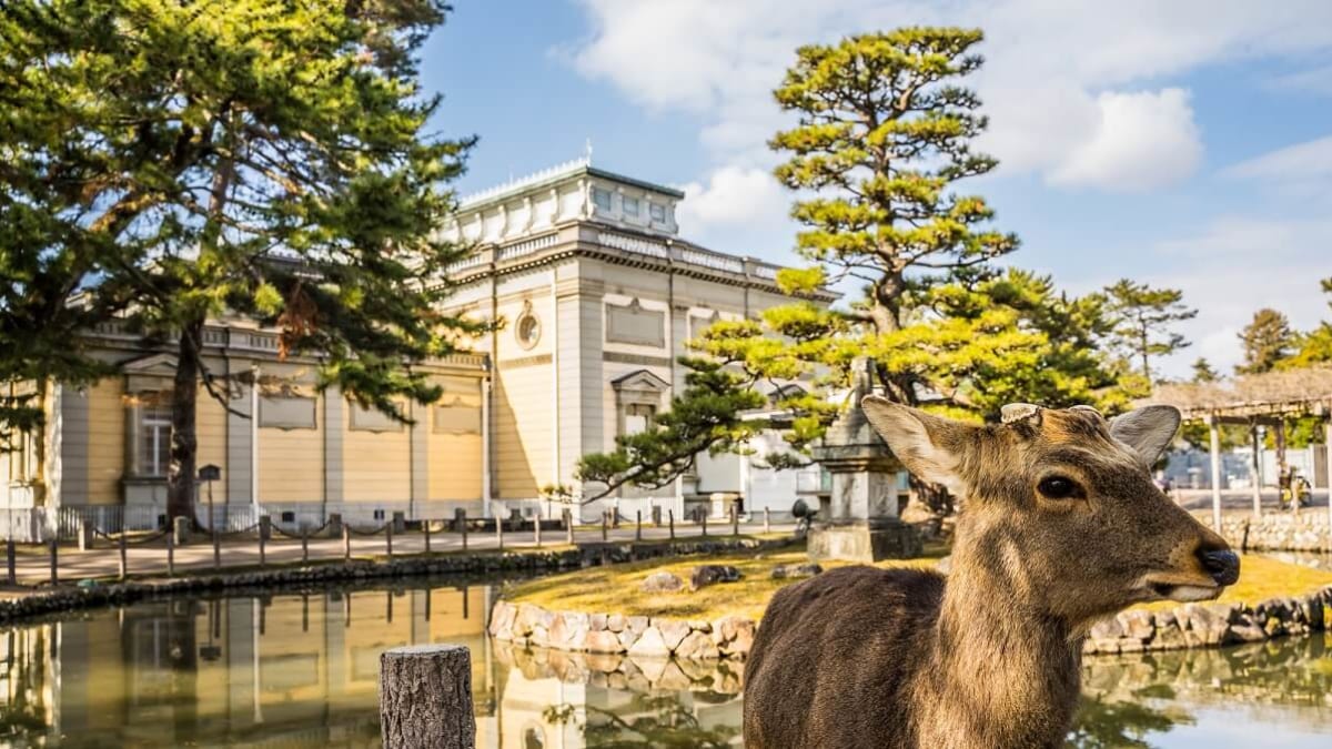 Les jours de pluie, les visites intérieures sont recommandées! 19 interactifs et historiques