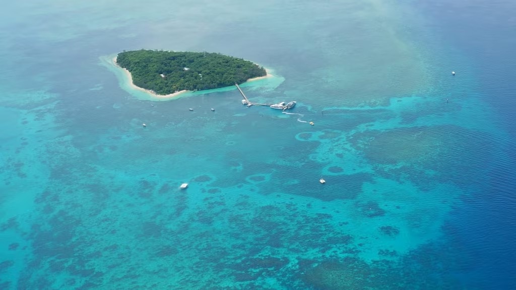 Présentation des informations touristiques sur Green Island! ｜ Comment s'y rendre et les visites recommandées