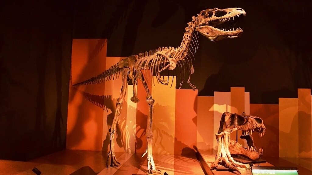 Découvrez l'histoire de la Terre au Iwaki City Coal &amp; Fossil Museum «Horuru» dans la préfecture de Fukushima