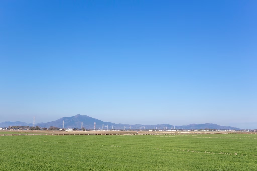 ¡Disfruta plenamente Shimotsuma! 6 destinos turísticos populares y encantadores