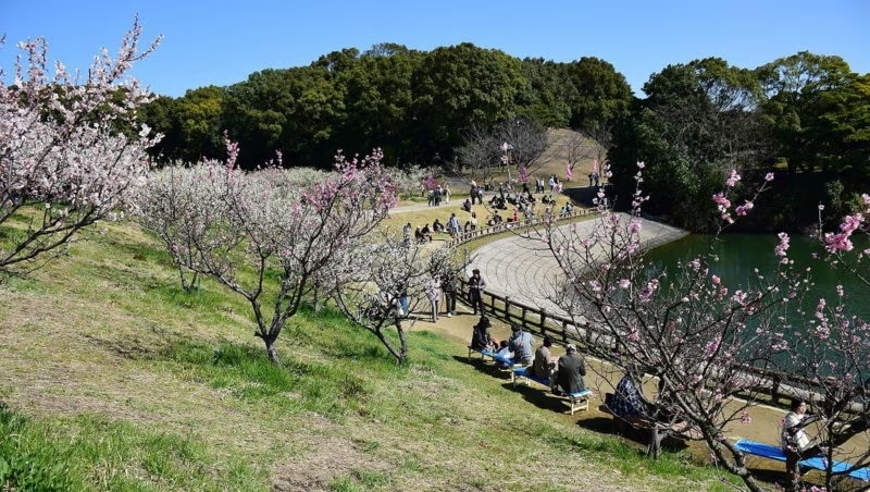 25 lugares de turismo recomendados en la ciudad de Chita: un paseo por la naturaleza y la historia