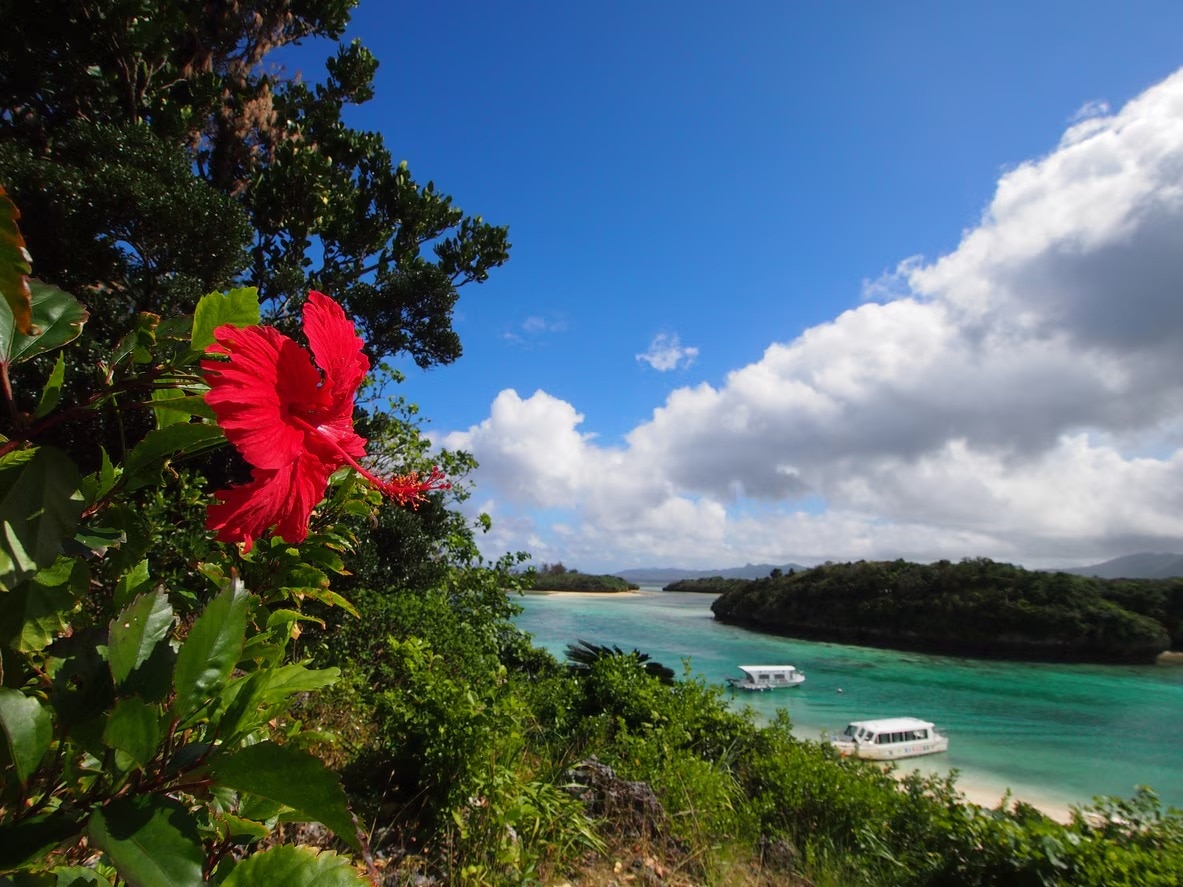 [Ishigaki Island] 20 cafés panoramiques! Emballé avec des taches dignes d'Instagram 💛