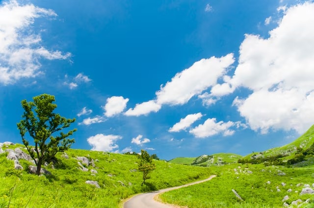 5 Spies pittoresques incontournables dans la préfecture de Fukuoka 