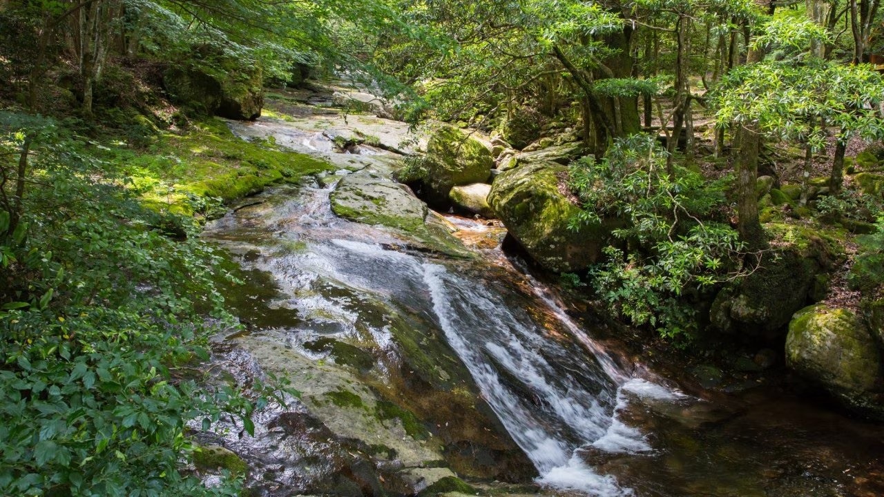 Un trésor de la nature! Présentation de 4 sites touristiques incontournables dans la ville de Kihoku, district de Kitauwa, préfecture d'Ehime