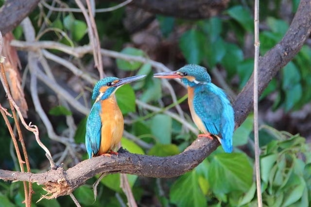 Se você estiver em turnê com ayase, comece aqui! 9 pontos imperdíveis para visitar