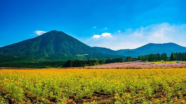 6 lugares turísticos recomendados en Ikoma Plateau y sus alrededores