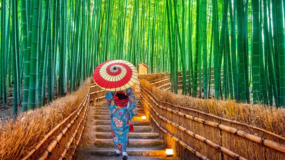 10 Hotel consigliati intorno a Arashiyama, Kyoto-un punto turistico ricco e popolare