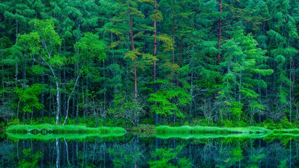[Mishaka Pond] Un reflet étonnant des quatre saisons sur l'eau 