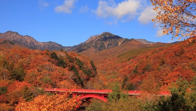 ¡El popular complejo de Yamanashi! Se recomiendan lugares turísticos para disfrutar plenamente de Kiyosato Highlands