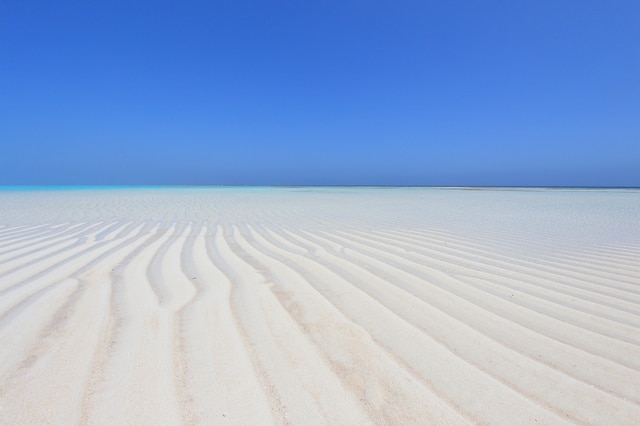 Des classiques aux joyaux cachés! 8 endroits panoramiques à couper le souffle à apprécier à Kagoshima