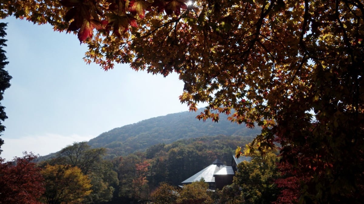 12 lugares turísticos recomendados en la ciudad de Shobara, Hiroshima: un viaje rico en la naturaleza y la historia