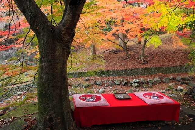 7 Pontos turísticos recomendados na cidade de Yoro, Prefeitura de Gifu! Vá para a cidade da lenda, onde a água da cachoeira se transformou em saquê