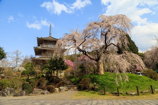 ¡7 lugares turísticos en Gokase Town! Explore una ciudad llena de historia y naturaleza
