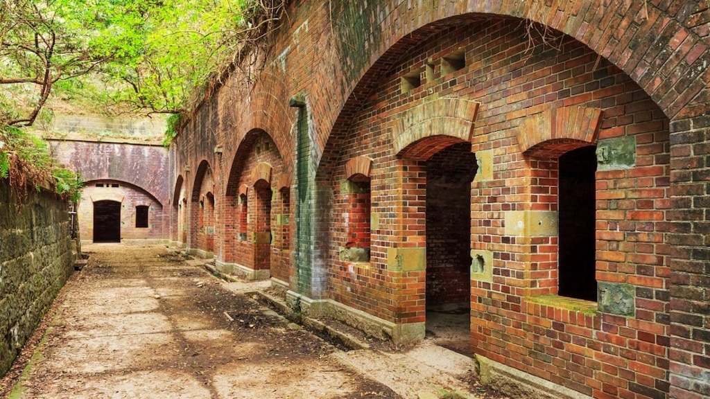 ¡Descubra la historia, las atracciones turísticas y el acceso a Tomogashima en Wakayama!