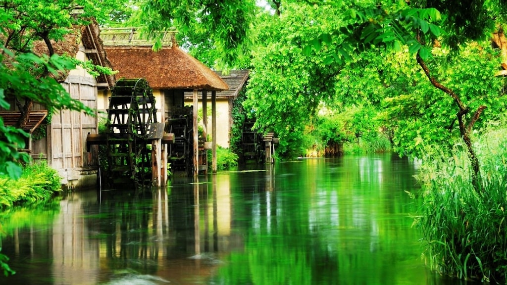 Le guide complet des visites pour profiter de Daio Wasabi Farm! Être guéri par l'eau et la verdure d'Azumino