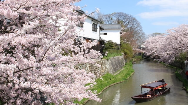9 lugares turísticos imprescindibles en Omihachiman, la ciudad natal de los comerciantes de OMI, desde la arquitectura moderna hasta las ruinas del castillo de Nobunaga