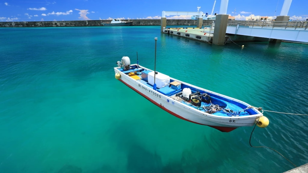 5 souvenirs de Tarama Island! Des bonbons simples recommandés à base de cassonade