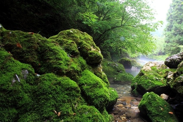 Se você for para a cidade de Yamagata na prefeitura de Gifu, aqui estão 7 pontos turísticos obrigatórios!