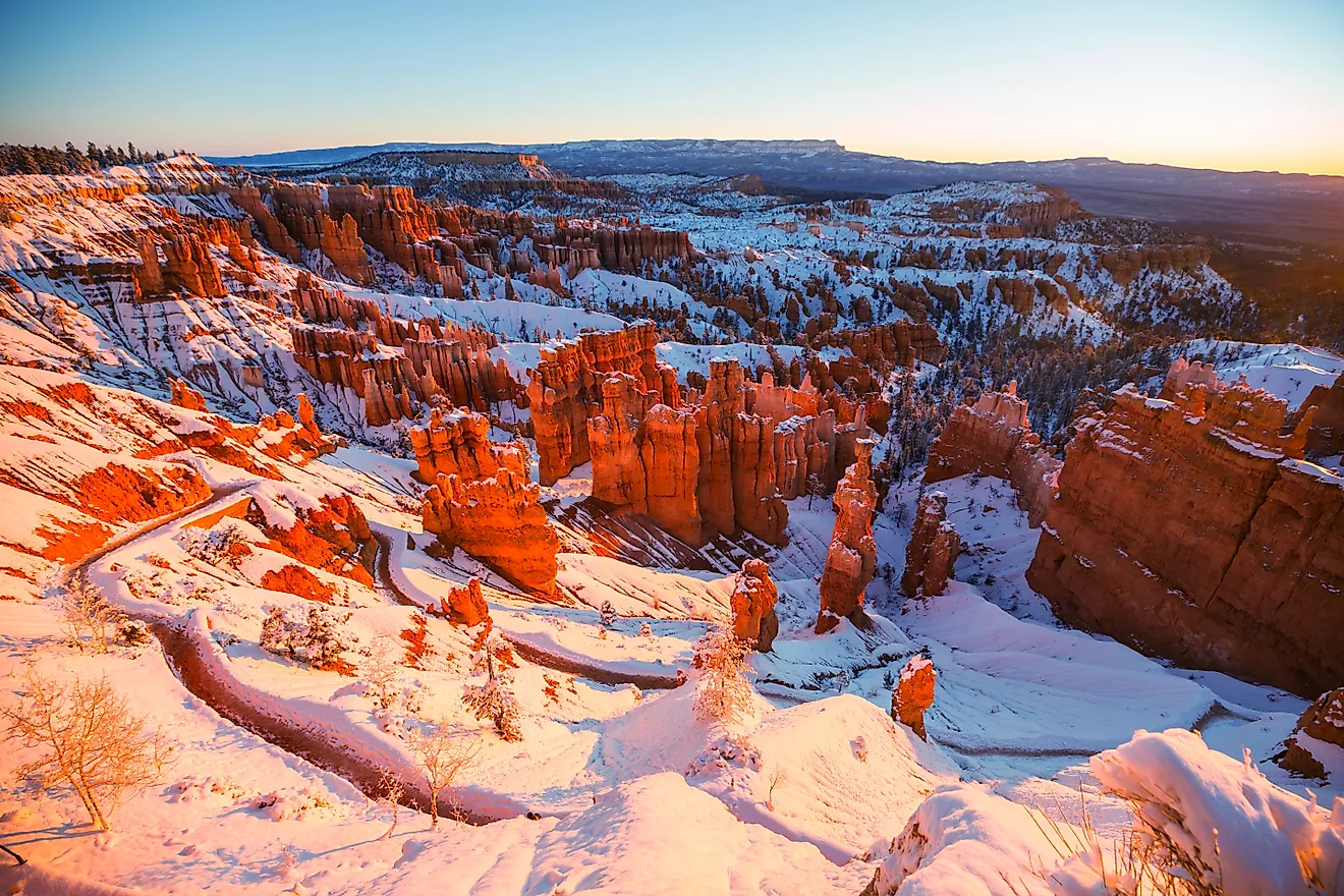 L'amphithéâtre Hoodoo du parc national de Bryce Canyon brille sous l'aube rose de l'hiver