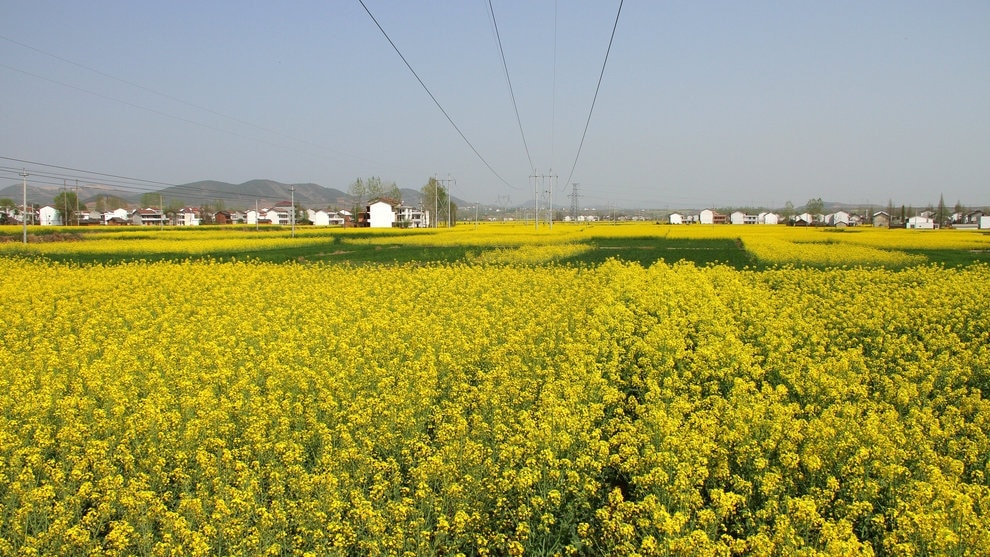 5 lugares turísticos imprescindibles en Hanzhong, provincia de Shaanxi para fanáticos de la historia, ¡desde Liu Bang hasta el romance de los Tres Reinos!