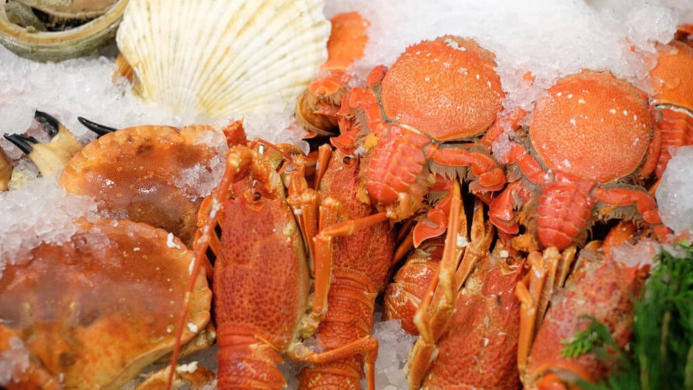 ¡Auténtico y seguro! 4 restaurantes de mariscos imprescindibles en el lado sur de la estación de Kaohsiung