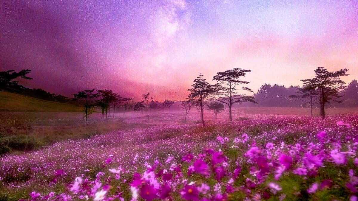 ¡Mira, camina y come en la ciudad de Saku, Nagano (Shinshu)! 4 lugares turísticos imprescindibles