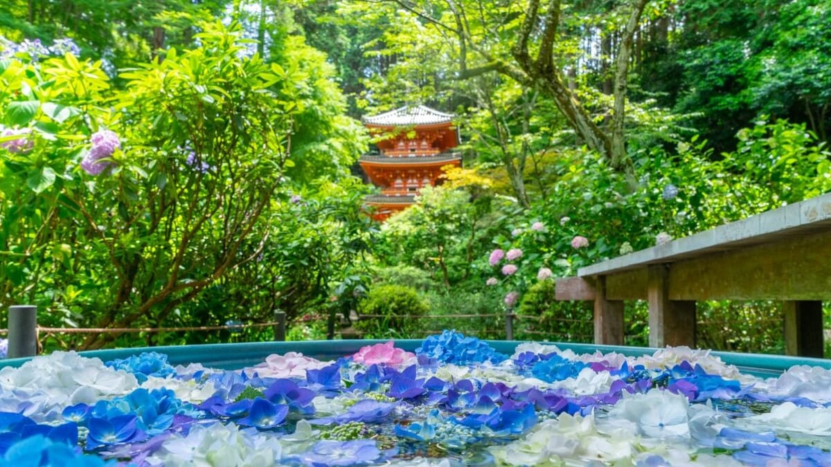 Kizugawa: Autrefois une capitale impériale 