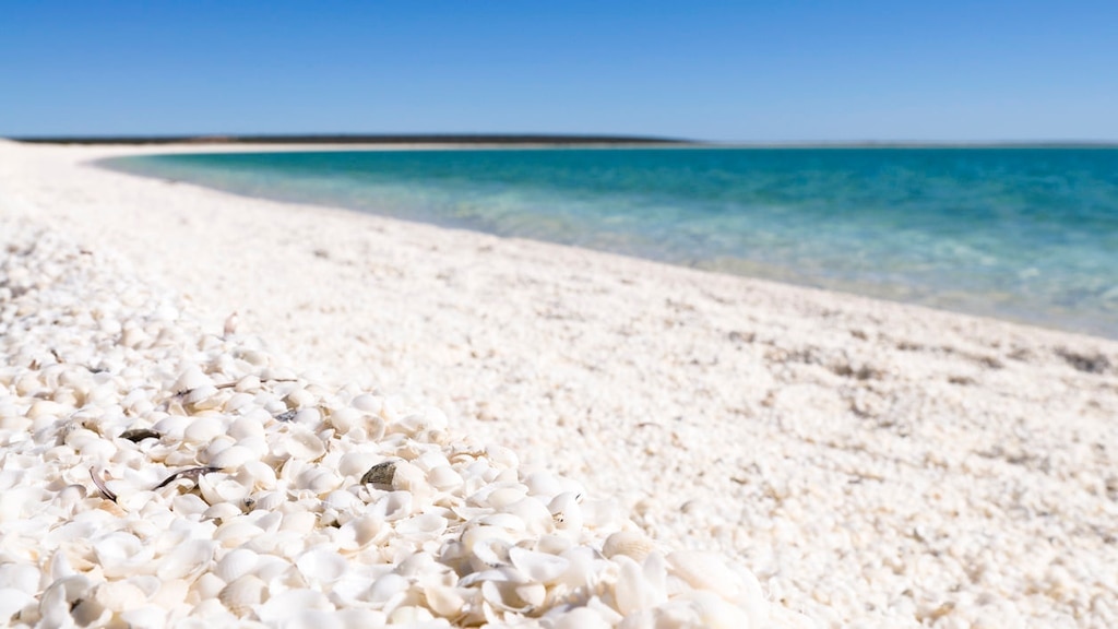 Patrimonio de la Patrimonio Mundial Shark Bay 