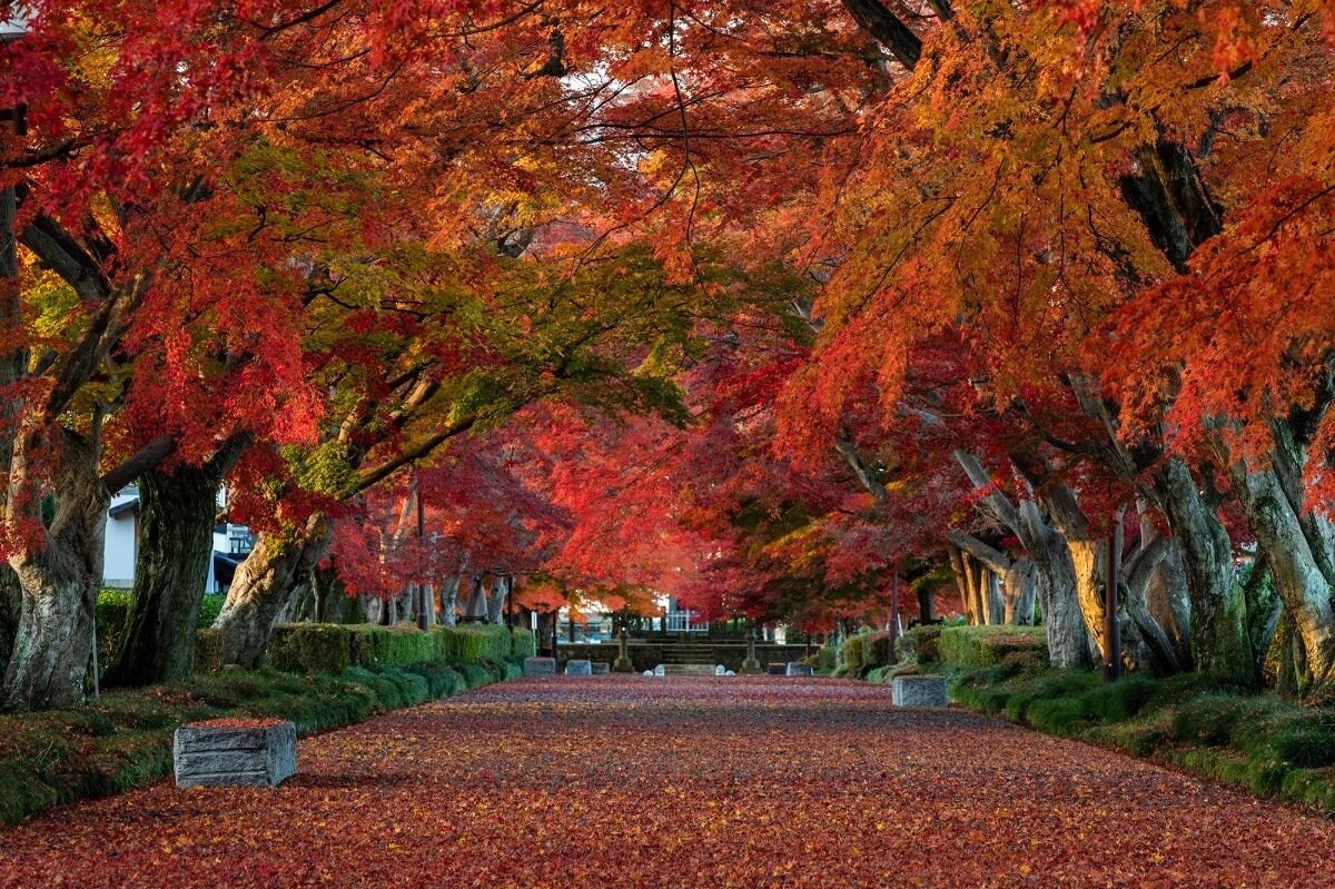 Viete à Nishinasuno! Découvrez une destination paisible où les gens et la nature se connectent