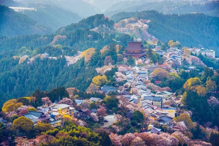 8 points touristiques incontournables de la ville de Yoshino qui vous permettent de redécouvrir la beauté du Japon