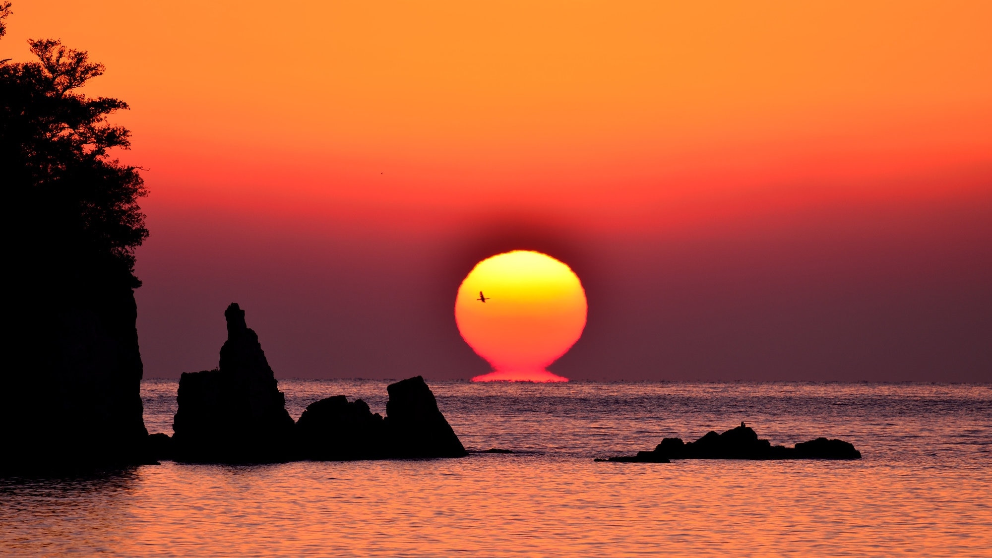 4 Spies touristiques recommandées à Sukumo, Kochi Préfecture 