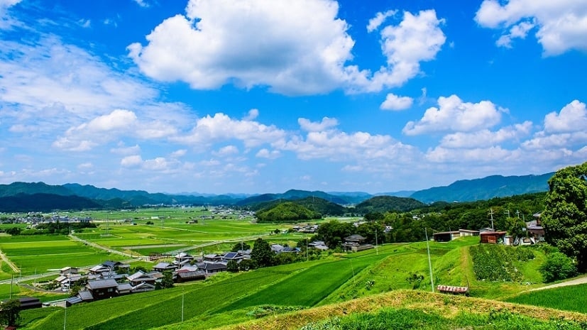 De vegetais de Kyoto e saquê a doces requintados! 4 lembranças obrigatórias da cidade de Kameoka, Prefeitura de Kyoto