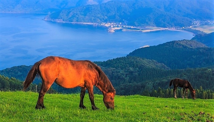 5 lugares turísticos recomendados en Toi Cape, Miyazaki 