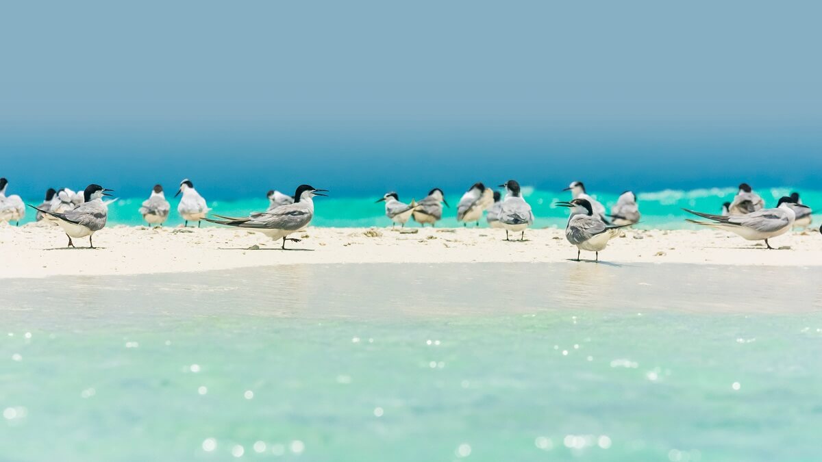 [Philippines World Heritage] 6 Spots incontournables!