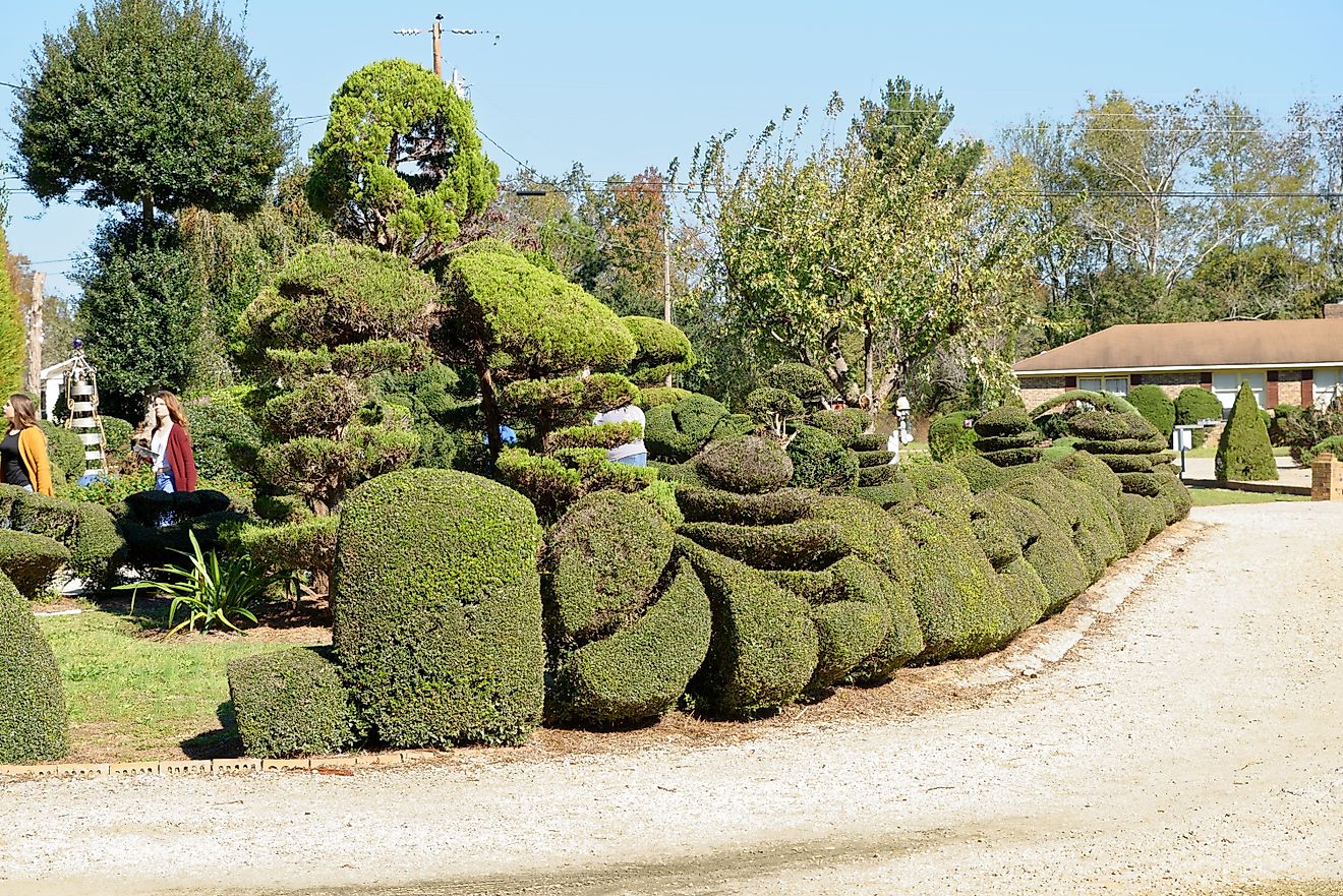 8 villes ludiques en Caroline du Sud