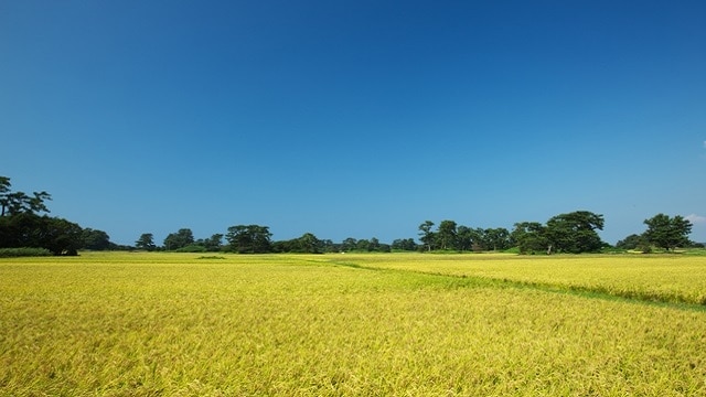 7 points touristiques incontournables dans la ville de Kisakata dans la ville de Nikaho! Profitez du mont Chokai et de la mer du Japon