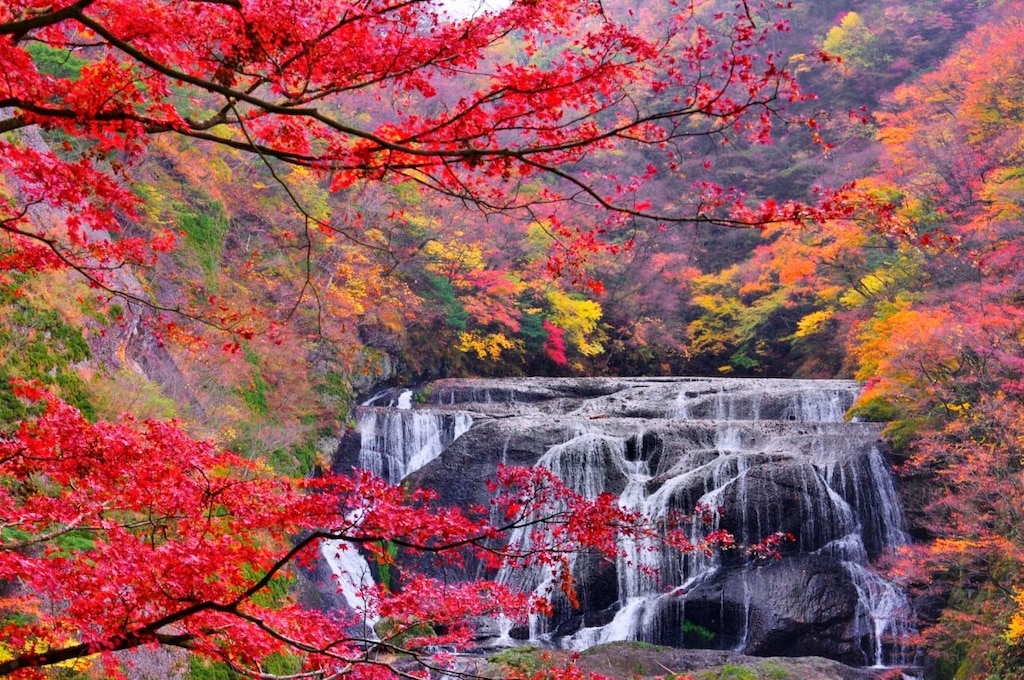 Visite des sources chaudes et des saveurs locales! 4 Les spots touristiques incontournables autour de Fukuroda Onsen dans la ville de Daigo!